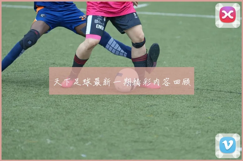 天下足球最新一期精彩内容回顾